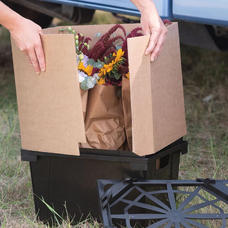 Valencia Collar – 13" 4 Valencia Collar – 13" - Image 2