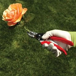 Felco 100 Special Application - Cut & Hold Pruning Shears -Garden Warehousing 100fel 4