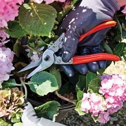 Leonard Straight Blade Pruning Shears, 8.625-inch Length 11 Leonard Straight Blade Pruning Shears, 8.625-inch Length -Garden Warehousing 1204 4