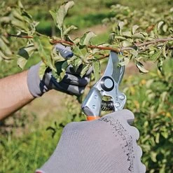 Leonard Pro Comfort Pruning Shears, 0.75-inch Cutting Capacity -Garden Warehousing 1212 4