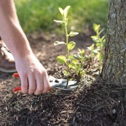 Leonard Deluxe Soil Knife, Pruner, Saw And Sheath Combo -Garden Warehousing 1286 8 1 1