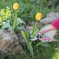 Pink Leonard Traditional Bypass Pruners 1 Inch Cutting Capacity -Garden Warehousing 1286p 5