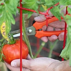 Leonard Pointed Tip Stainless Steel Hand Shears 7.5 Inch Length -Garden Warehousing 1503 3 1