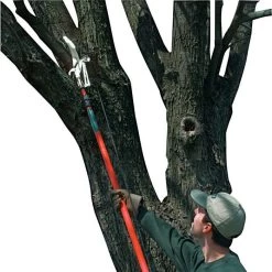 Corona Pole Pruners With Telescoping Fiberglass Pole, 1.25-inch Cut -Garden Warehousing 1714c 2 1