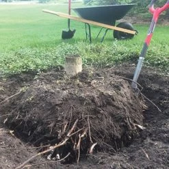 Radius Root Slayer -Garden Warehousing 22011 5