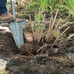 Radius Root Slayer XL 10 Radius Root Slayer XL -Garden Warehousing 22511 3 1