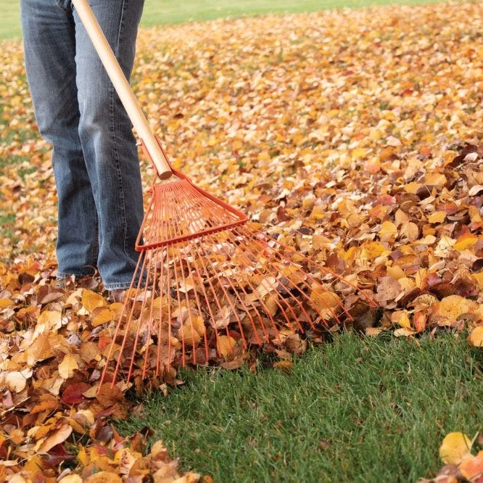 Leonard 22 Tine Forestry Rake 7 Leonard 22 Tine Forestry Rake - Image 5