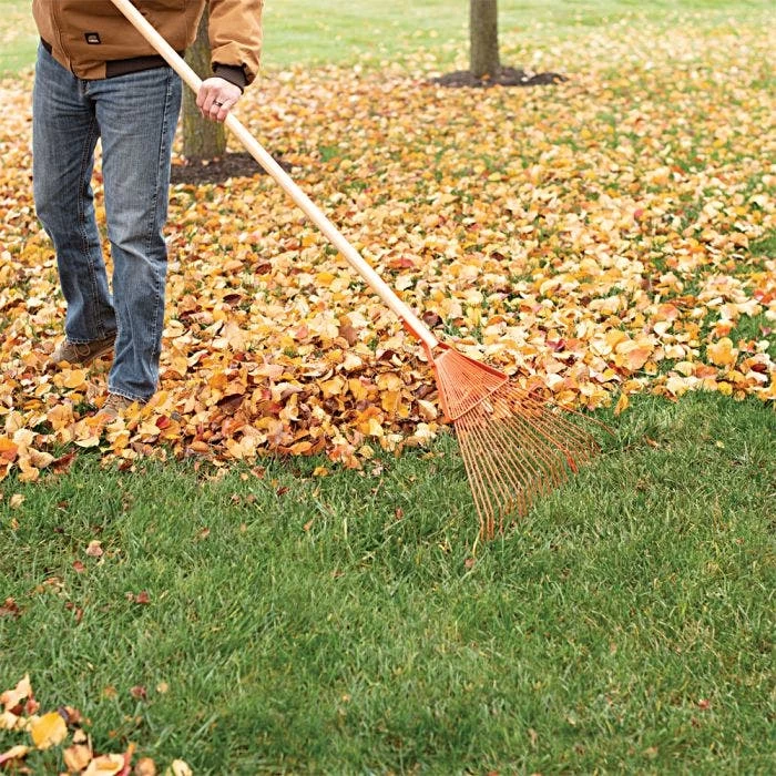 Leonard 22 Tine Forestry Rake 8 Leonard 22 Tine Forestry Rake - Image 6
