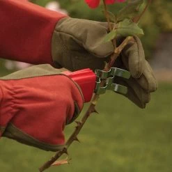 Thorn Stripper And Leaf Removal Tool -Garden Warehousing 280dt 5