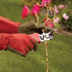 Thorn Stripper And Leaf Removal Tool -Garden Warehousing 280dt 7