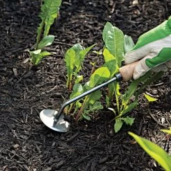 Dewit Weeder - Disc 10" Handle -Garden Warehousing 3109071tdge 3 1