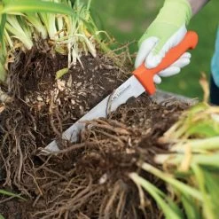 Leonard Wavy Edge Stainless Steel Cut-All Knife 8in Blade -Garden Warehousing 4041t 6