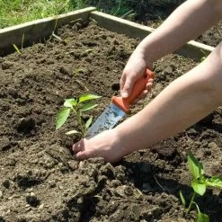 Classic Stainless Steel Soil Knife By A.M. Leonard, 6in Dual Edged Blade, Lifetime Warranty -Garden Warehousing 4750 4