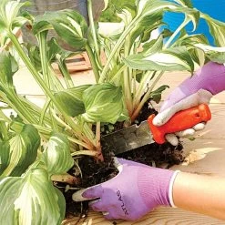 Deluxe Stainless Steel Soil Knife By A.M. Leonard, 6in Dual Edged Blade, Lifetime Warranty -Garden Warehousing 4752 4