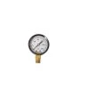 Pressure Gauge – 0-30 PSI -Garden Warehousing 6287 01 prssuregauge