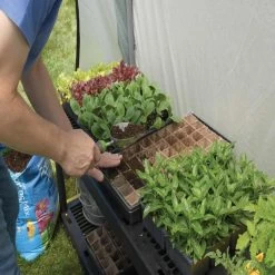 ShelterLogic Organic Growers Greenhouse, 6 Ft. X 8 Ft. X 6.5 Ft -Garden Warehousing 70699 image 03