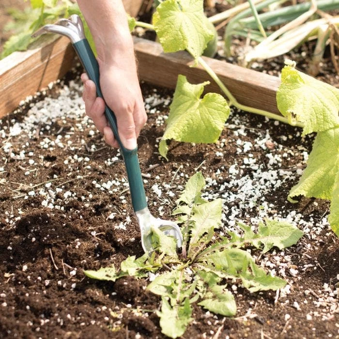 Trake Combination Trowel And Rake Garden Tool 8 Trake Combination Trowel And Rake Garden Tool - Image 6
