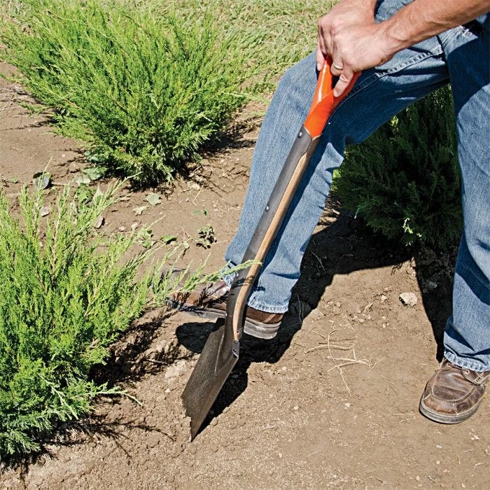 Leonard Classic Full Strap Spade 9 Leonard Classic Full Strap Spade - Image 7
