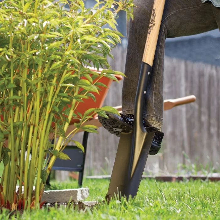 Unbeatable Deals: Score Low Prices Plus Free Shipping on Leonard