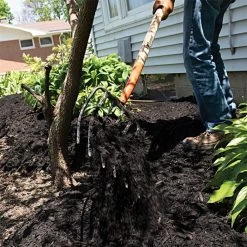 Leonard 6-Tine Forged Steel Manure Fork, 54-inch Straight Handle -Garden Warehousing amf6 5 1