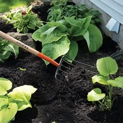 Leonard 6 Tine Forged Steel Manure Fork, 30-inch D-Grip Handle -Garden Warehousing amf6d 4