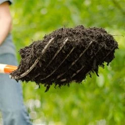 Leonard 6 Tine Forged Steel Manure Fork, 30-inch D-Grip Handle -Garden Warehousing amf6d 5