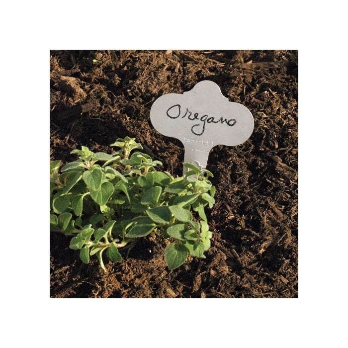 Stainless Steel Garden Marker, 3.5in X 6.5in, 12-Pack 5 Stainless Steel Garden Marker, 3.5in X 6.5in, 12-Pack - Image 3