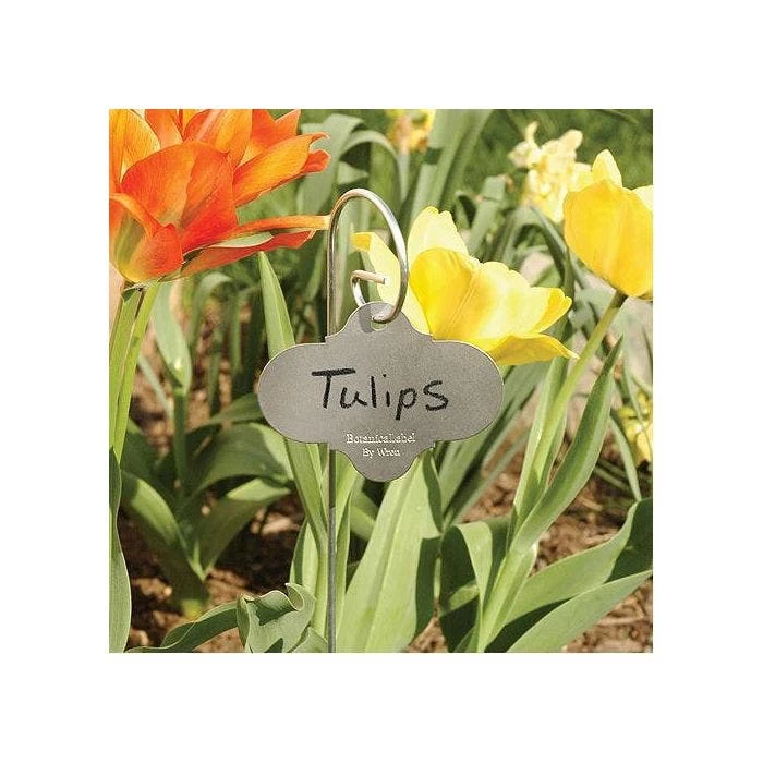 Stainless Steel Garden Marker Stake With Tag, 3.5in X 2ft, 6-Pack 5 Stainless Steel Garden Marker Stake With Tag, 3.5in X 2ft, 6-Pack - Image 3