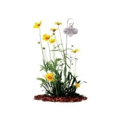 Stainless Steel Garden Marker Stake With Tag, 3.5in X 2ft, 6-Pack 9 Stainless Steel Garden Marker Stake With Tag, 3.5in X 2ft, 6-Pack -Garden Warehousing blgs24 3