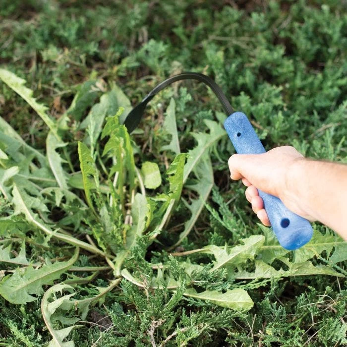 CobraHead Weeder And Cultivator, 13-inch Handle 6 CobraHead Weeder And Cultivator, 13-inch Handle - Image 4