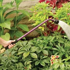 Dramm Colormark Waterwand Berry -Garden Warehousing cm53 1