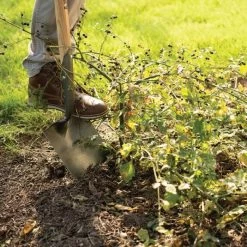 Leonard Forged Round Point Shovel With 48in Ash Handle 10 Leonard Forged Round Point Shovel With 48in Ash Handle -Garden Warehousing fw4 3