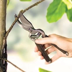 Pruner With Leather Handle -Garden Warehousing gt151am 2