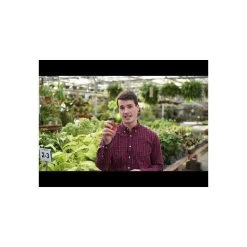 Leonard Stainless Steel Hand Shears, 6.375-inch Length -Garden Warehousing hqdefault 15 8