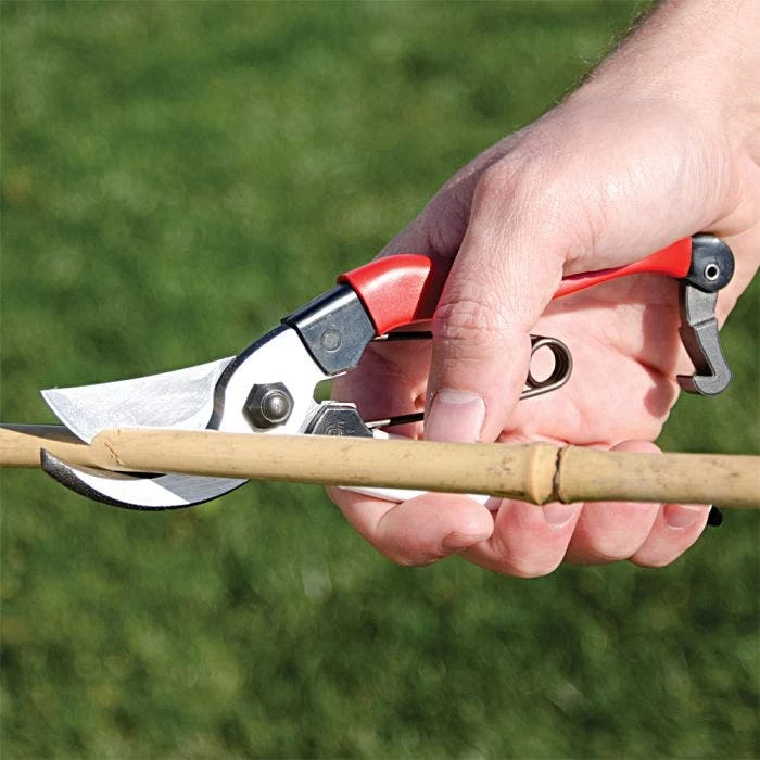 Okatsune Hand Pruners, 0.75-inch Cutting Capacity, 8-inch Length 6 Okatsune Hand Pruners, 0.75-inch Cutting Capacity, 8-inch Length - Image 4