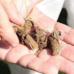 Brinly-Hardy Tow-Behind Plug-Type Aerator, 4ft Span -Garden Warehousing pa48 3