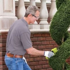 Sun Joe 3 6 Volt Cordless Pruner -Garden Warehousing pj3600c 2