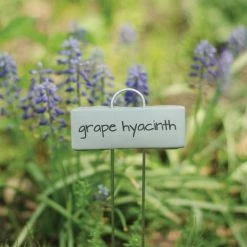 Display Garden Plant Markers, 21in, 25-Pack -Garden Warehousing pmd 10 3 2