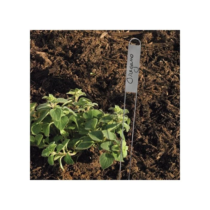 Vertical Plant Marker With Zinc Name Plate, .875in X 3.25in, 25-Pack 5 Vertical Plant Marker With Zinc Name Plate, .875in X 3.25in, 25-Pack - Image 3