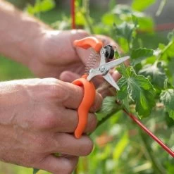 Hands Free Ring Pruner 12 Hands Free Ring Pruner -Garden Warehousing rp2 4