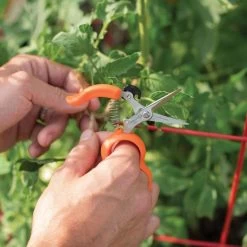 Hands Free Ring Pruner 13 Hands Free Ring Pruner -Garden Warehousing rp2 5