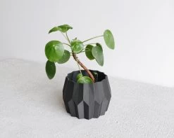 Tokyo Planter By Minimum Design -Garden Warehousing s753278155256112669 p1039 i3 w3235