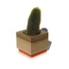 Orange Succulent Planter -Garden Warehousing s753278155256112669 p105 i1 w700