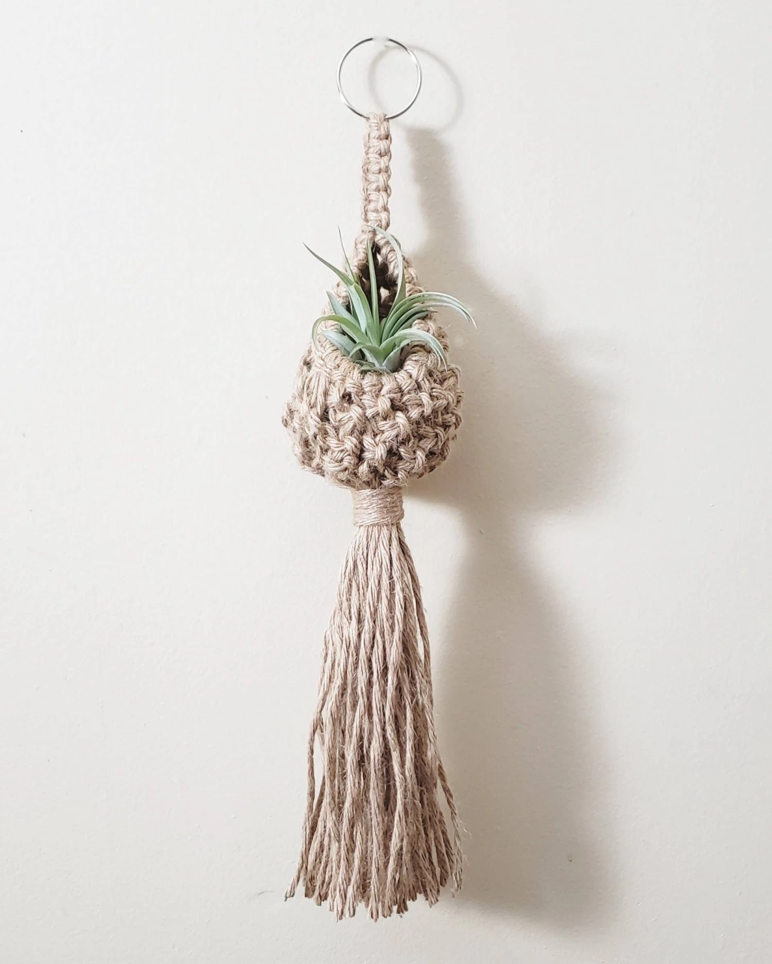 Jute Plant Pod Hanger By Maddi And Joan 4 Jute Plant Pod Hanger By Maddi And Joan - Image 2
