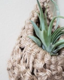 Jute Plant Pod Hanger By Maddi And Joan 8 Jute Plant Pod Hanger By Maddi And Joan -Garden Warehousing s753278155256112669 p1128 i3 w1200