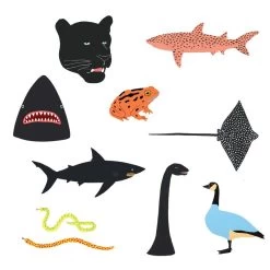 Tiny Animal Tattoo Tin By TATTLY -Garden Warehousing s753278155256112669 p1276 i10 w900