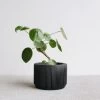 Praha Planter In BLACK By MINIMUM DESIGN