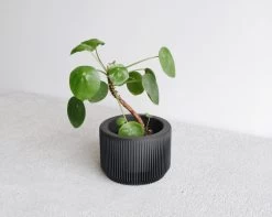 Praha Planter In BLACK By MINIMUM DESIGN -Garden Warehousing s753278155256112669 p1555 i3 w1024