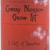 The Jonsteen Company - Japanese Cherry | Seed Grow Kit -Garden Warehousing s753278155256112669 p1630 i2 w502