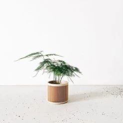 Japan Planter By Minimum Design -Garden Warehousing s753278155256112669 p494 i2 w1024